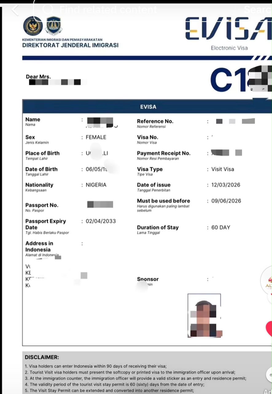 Approved Indonesia e-visa for a client