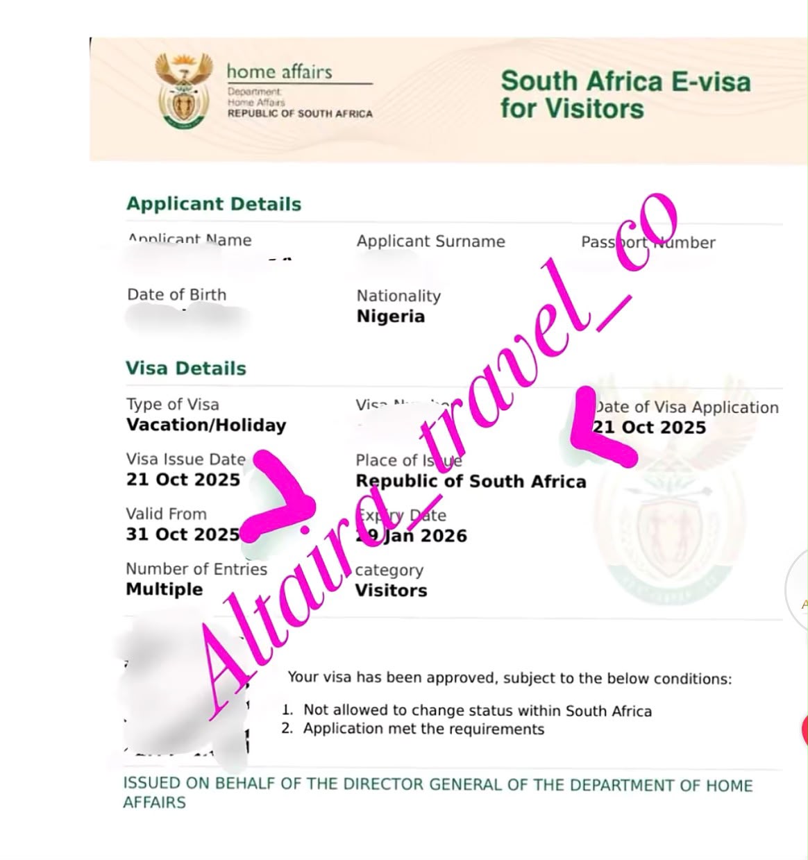 Approved South Africa e-visa for a client